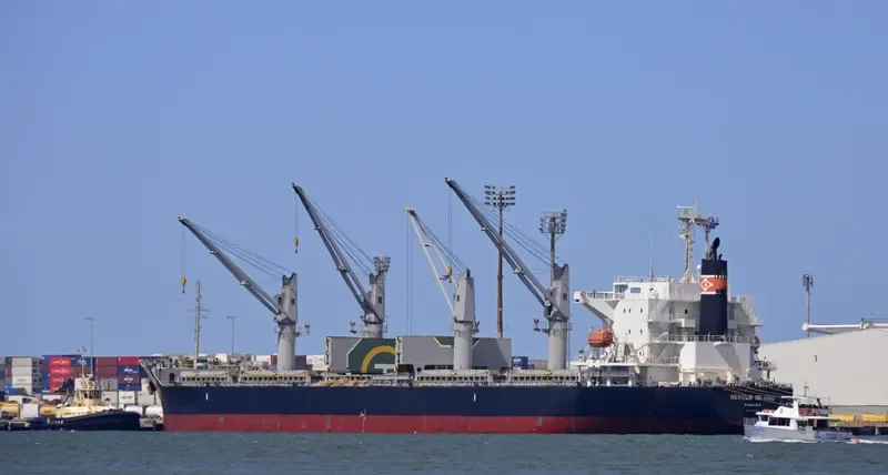 NEREUS ISLAND Bulk Carrier IMO 9682928 photo 6