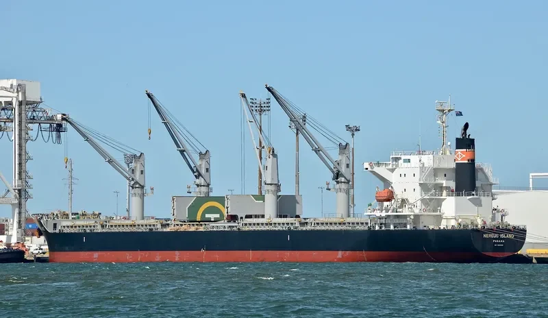 NEREUS ISLAND Bulk Carrier IMO 9682928 photo 7