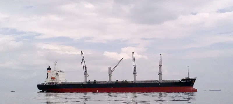 NEREUS ISLAND Bulk Carrier IMO 9682928 photo 8