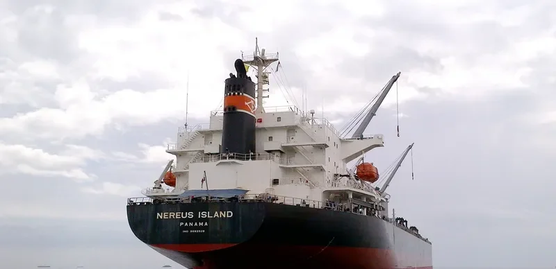 NEREUS ISLAND Bulk Carrier IMO 9682928 photo 9