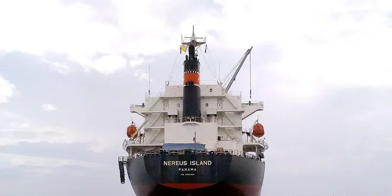 NEREUS ISLAND Bulk Carrier IMO 9682928 photo 10