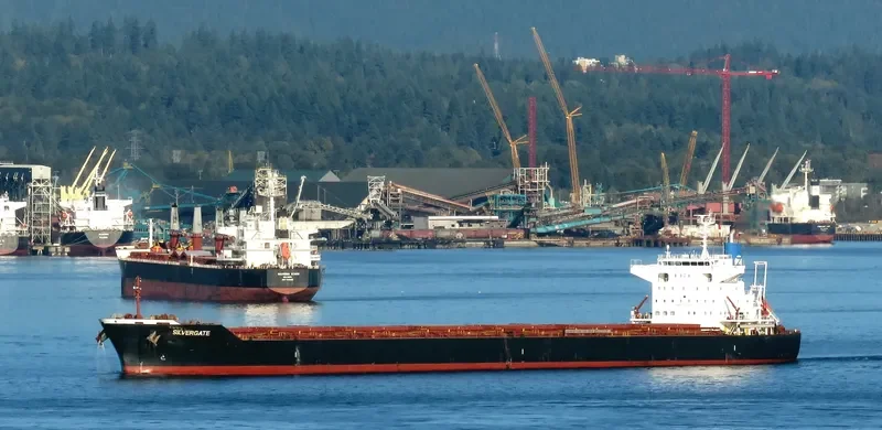 SILVERGATE Bulk Carrier IMO 9682930 photo 2