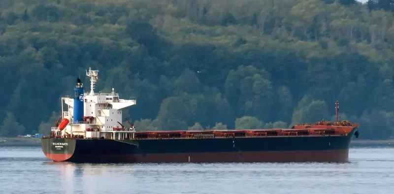 SILVERGATE Bulk Carrier IMO 9682930 photo 3