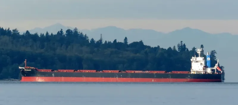 SILVERGATE Bulk Carrier IMO 9682930 photo 4