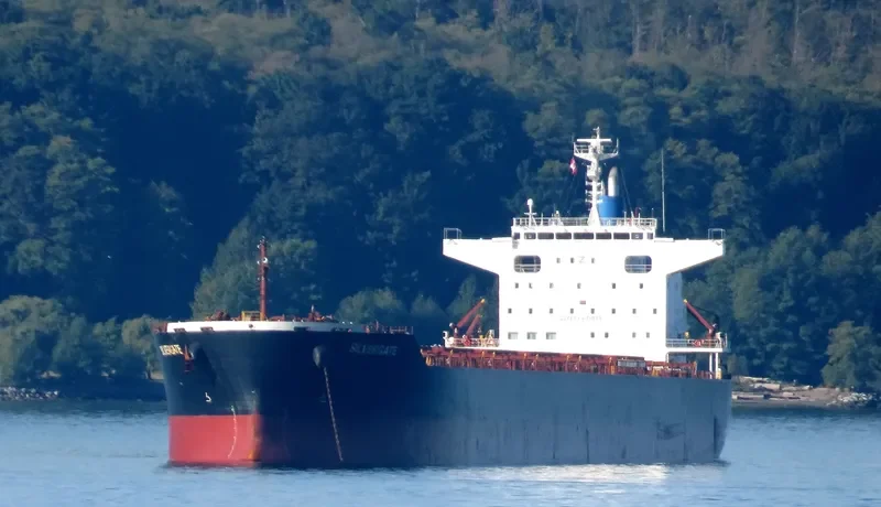 SILVERGATE Bulk Carrier IMO 9682930 photo 5