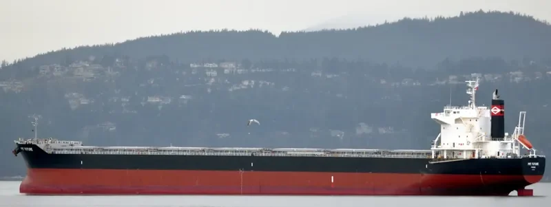 SILVERGATE Bulk Carrier IMO 9682930 photo 8