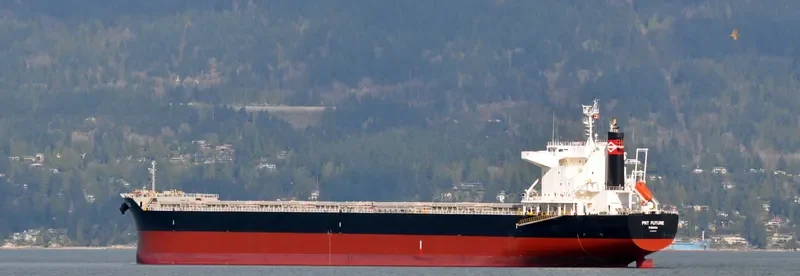 SILVERGATE Bulk Carrier IMO 9682930 photo 9
