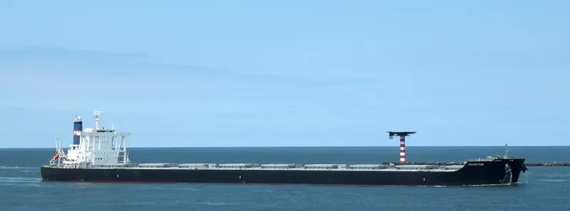 NAVIOS GEM Bulk Carrier IMO 9682942 photo 2