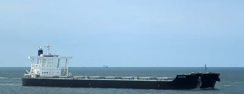 NAVIOS GEM Bulk Carrier IMO 9682942 photo 3