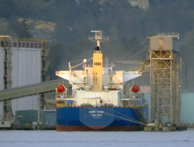 NAVIOS GEM Bulk Carrier IMO 9682942 photo 5