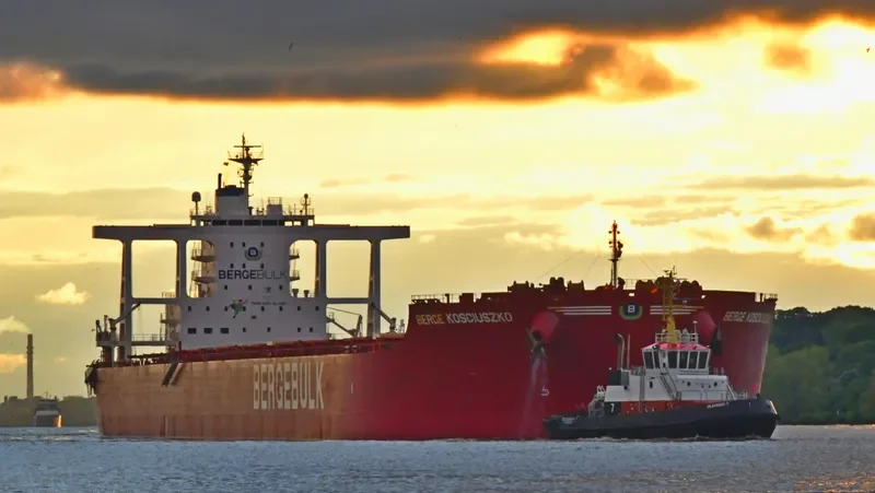 BERGE KOSCIUSZKO Bulk Carrier IMO 9682954 photo 3