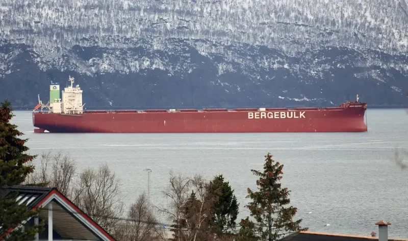 BERGE KOSCIUSZKO Bulk Carrier IMO 9682954 photo 7