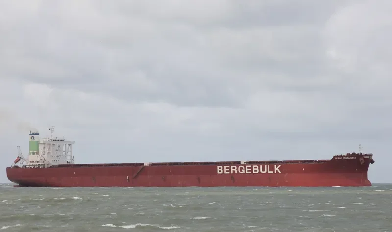 BERGE KOSCIUSZKO Bulk Carrier IMO 9682954 photo 8