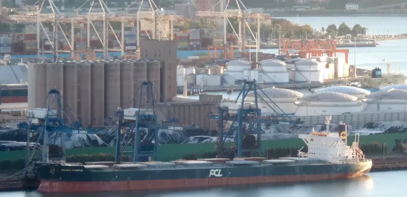 DOUBLE MIRACLE Bulk Carrier IMO 9682966