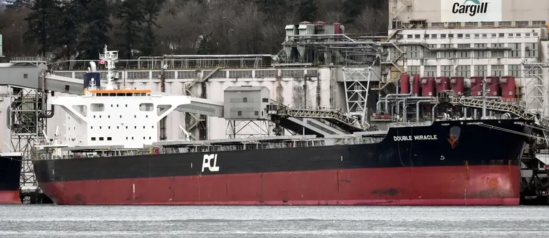 DOUBLE MIRACLE Bulk Carrier IMO 9682966 photo 8