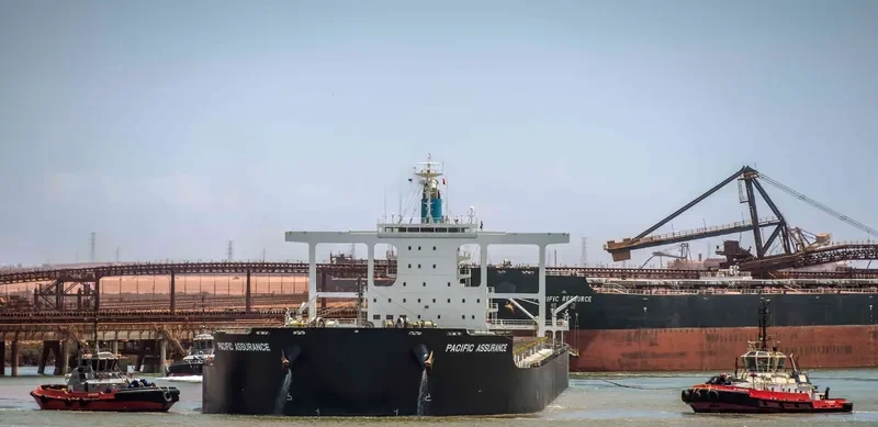 PACIFIC ASSURANCE Bulk Carrier IMO 9683104 photo 2