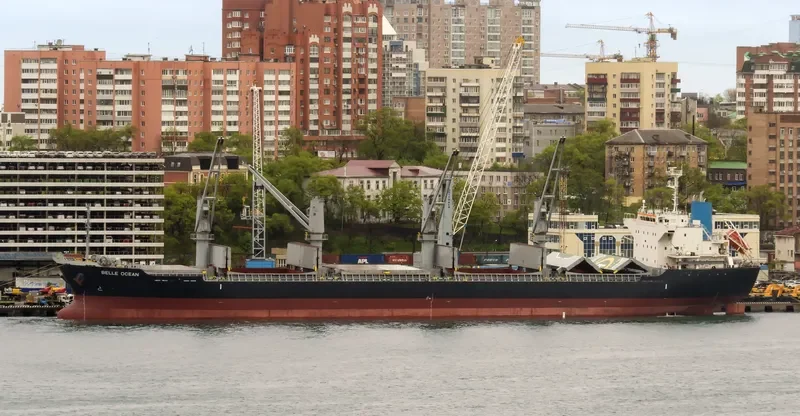 BELLE OCEAN Bulk Carrier IMO 9683116