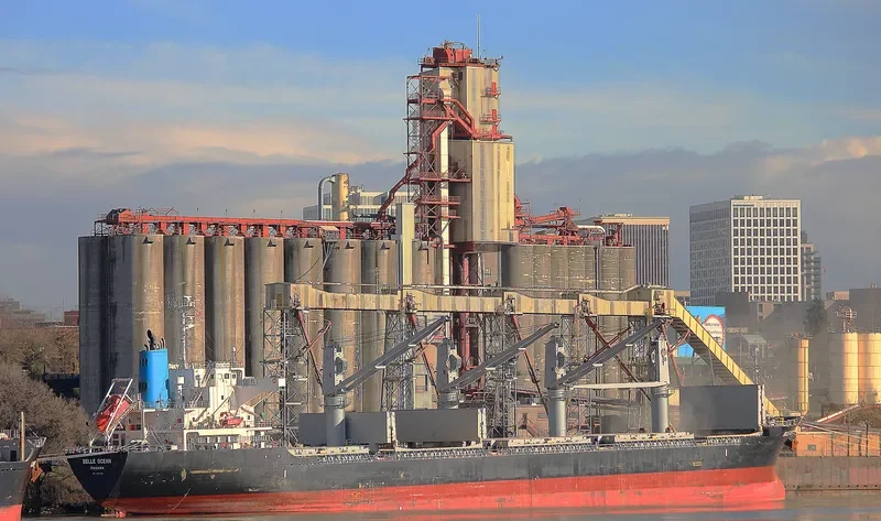 BELLE OCEAN Bulk Carrier IMO 9683116 photo 2