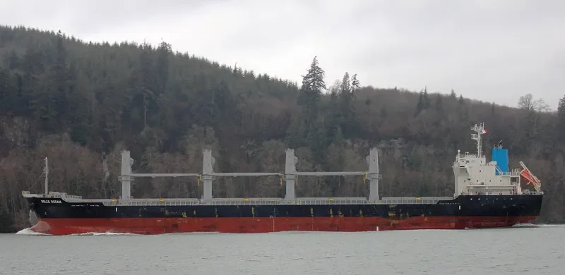 BELLE OCEAN Bulk Carrier IMO 9683116 photo 5
