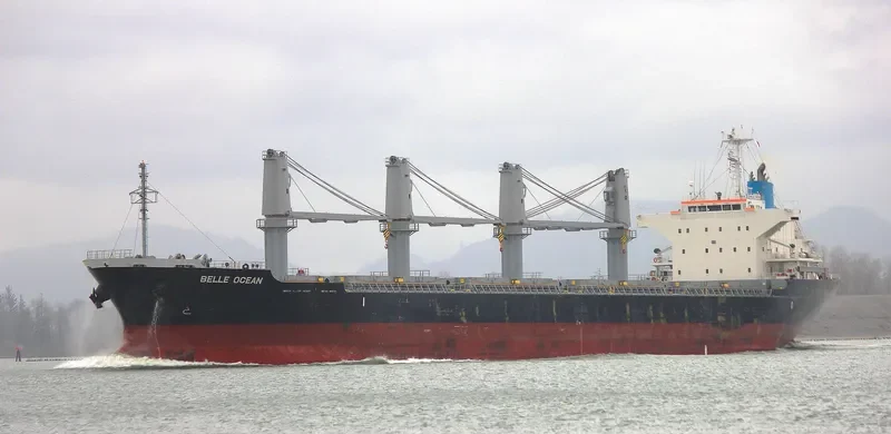 BELLE OCEAN Bulk Carrier IMO 9683116 photo 6