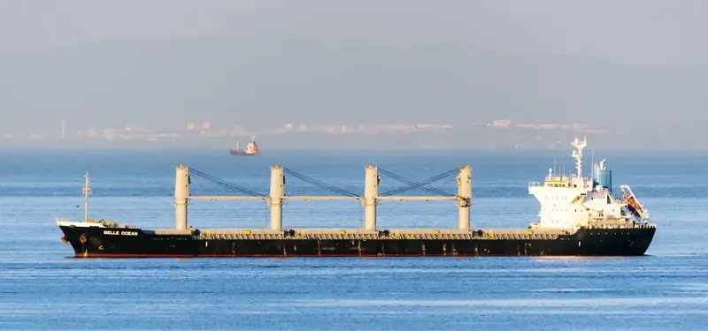 BELLE OCEAN Bulk Carrier IMO 9683116 photo 7