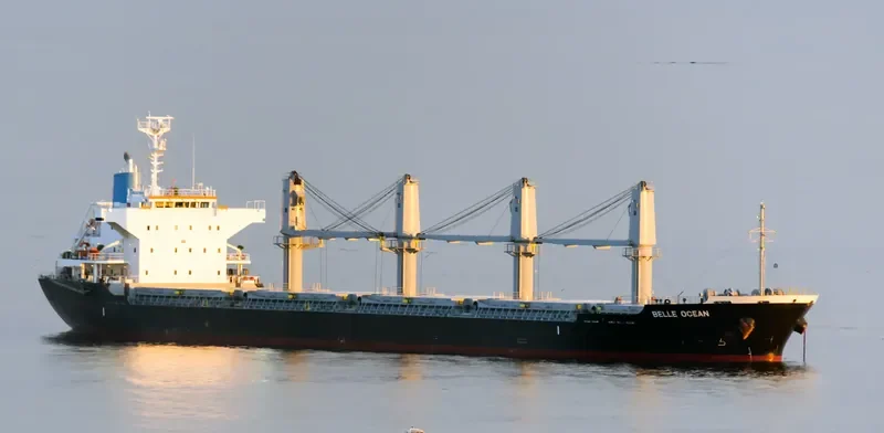 BELLE OCEAN Bulk Carrier IMO 9683116 photo 8
