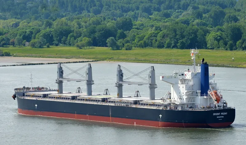 BULK BEQUIA Bulk Carrier IMO 9683128 photo 3