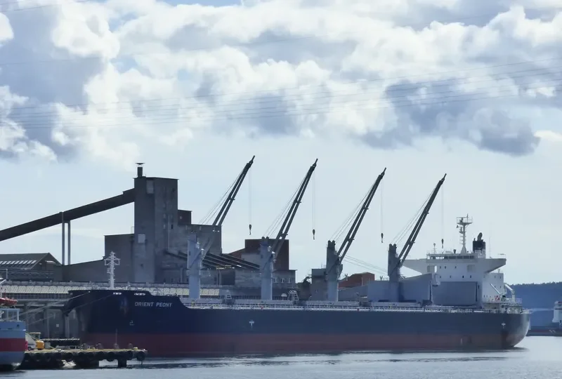 BULK BEQUIA Bulk Carrier IMO 9683128 photo 8