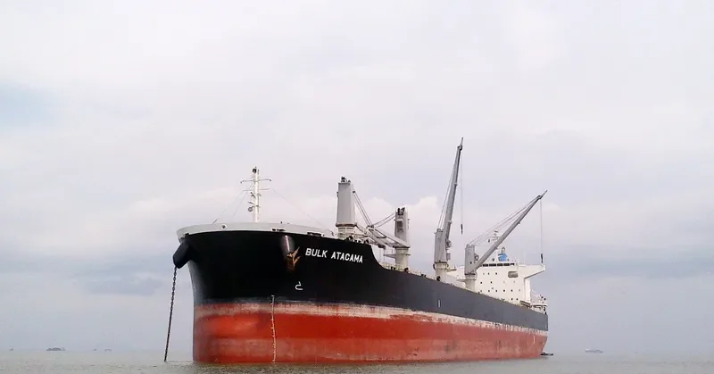 BULK ATACAMA Bulk Carrier IMO 9683130 photo 2