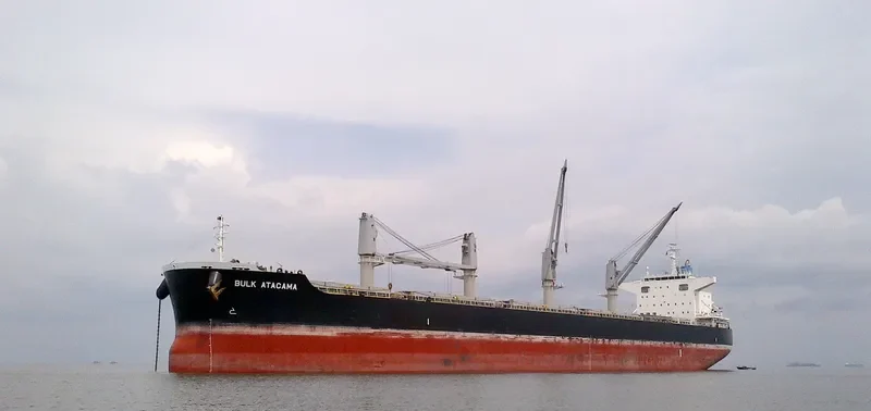 BULK ATACAMA Bulk Carrier IMO 9683130 photo 6