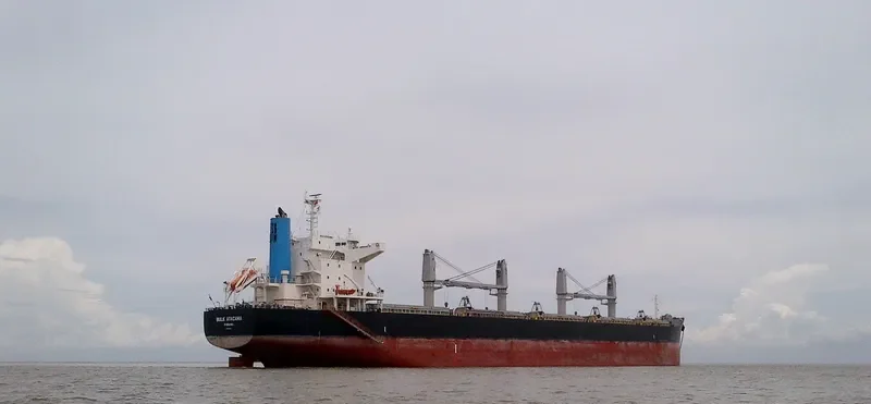 BULK ATACAMA Bulk Carrier IMO 9683130 photo 7