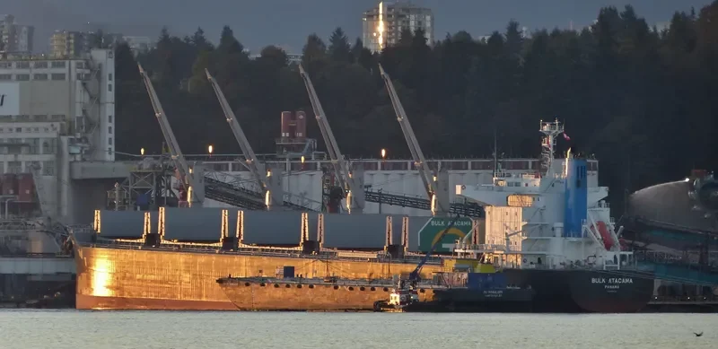 BULK ATACAMA Bulk Carrier IMO 9683130 photo 9