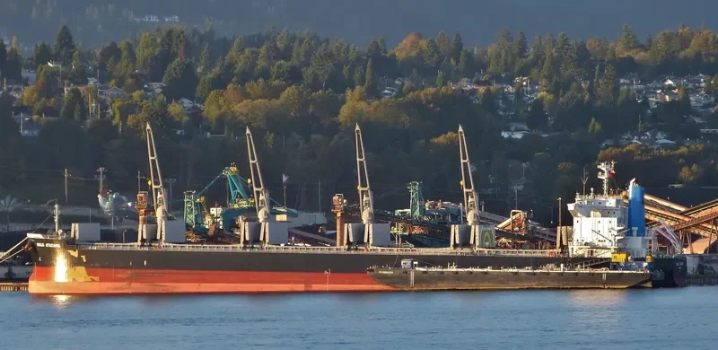 BULK ATACAMA Bulk Carrier IMO 9683130 photo 10