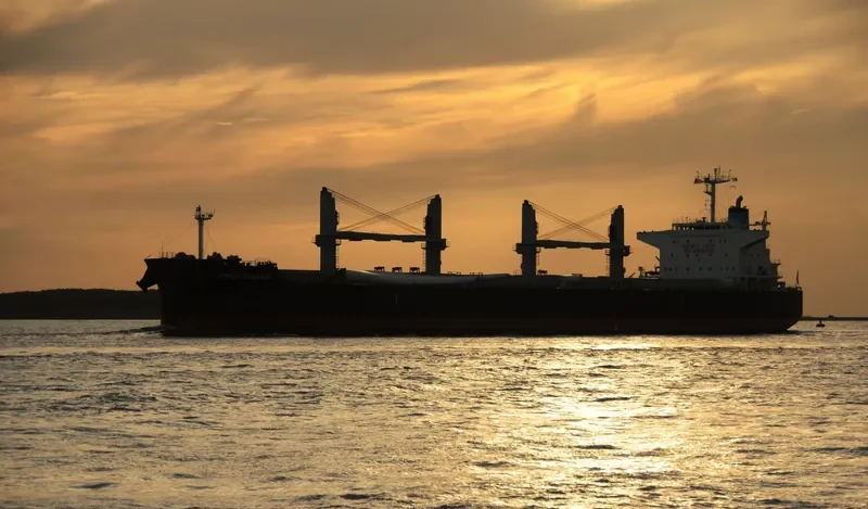 JOSCO DEZHOU Bulk Carrier IMO 9683439 photo 4