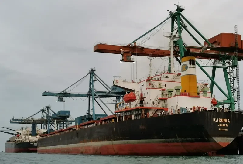 TANTO KARUNIA II Container Ship IMO 9683506