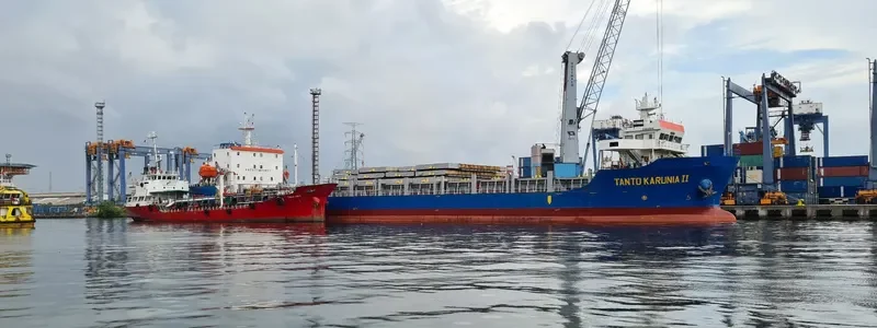 TANTO KARUNIA II Container Ship IMO 9683506 photo 3