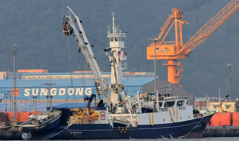 LIM DISCOVERER General Cargo IMO 9683647 photo 3