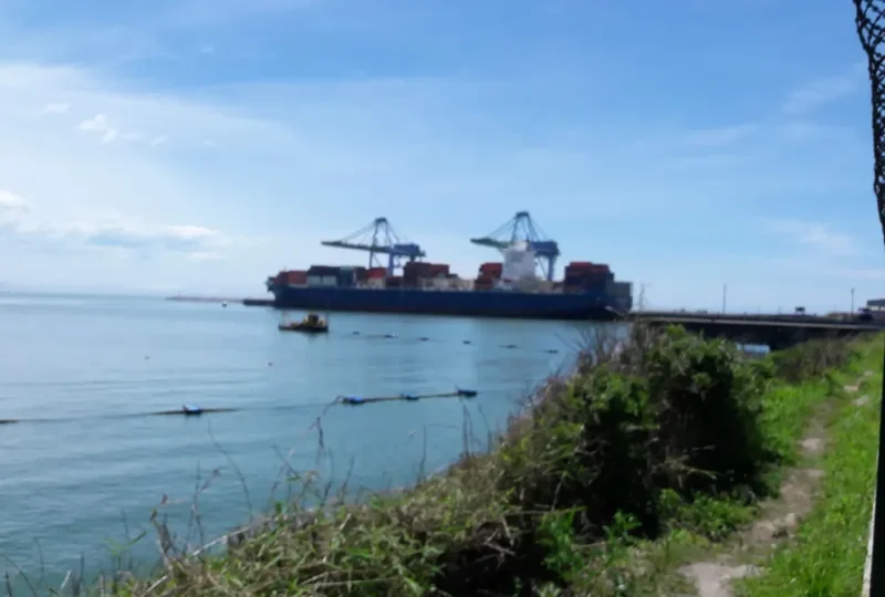 CCNI ANGOL Container Ship IMO 9683867 photo 2