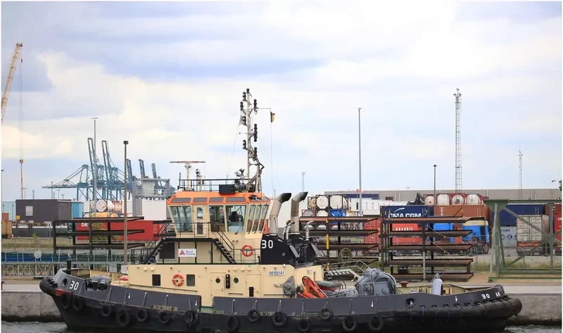 30 General Cargo IMO 9684029 photo 4