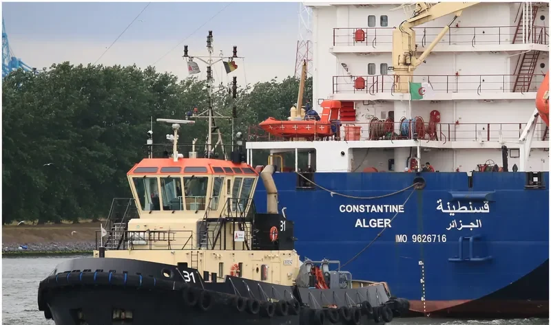 31 General Cargo IMO 9684031 photo 7