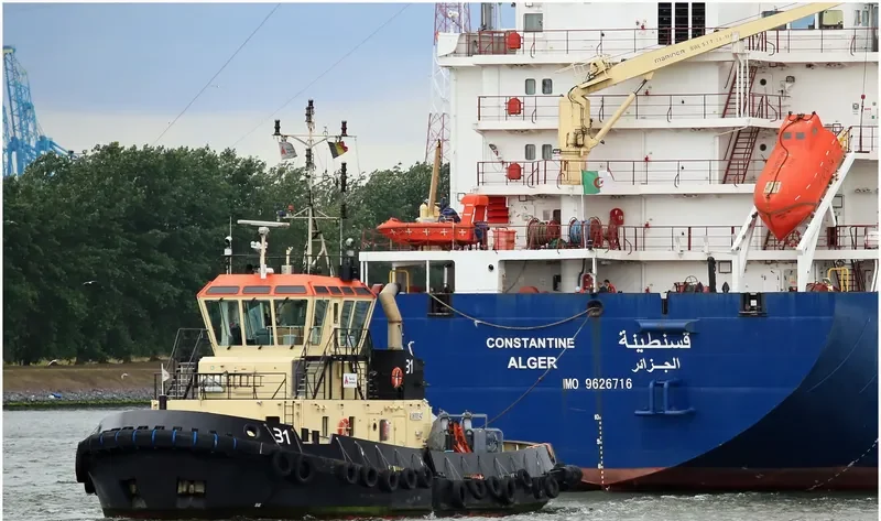31 General Cargo IMO 9684031 photo 9