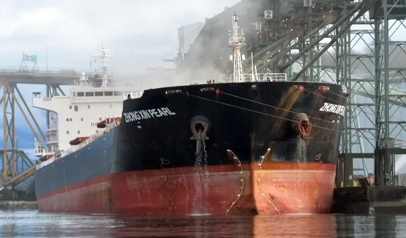 ZHONG XIN PEARL Bulk Carrier IMO 9684134