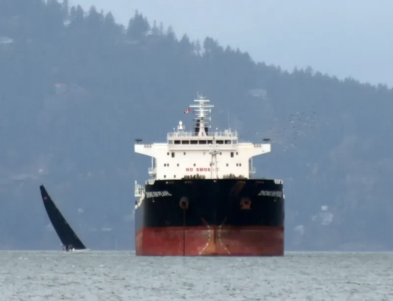 ZHONG XIN PEARL Bulk Carrier IMO 9684134 photo 2