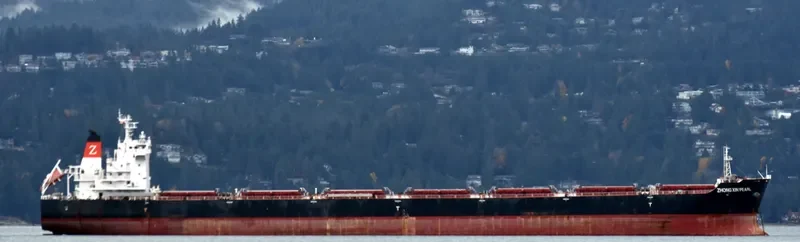 ZHONG XIN PEARL Bulk Carrier IMO 9684134 photo 3
