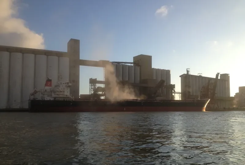 ZHONG XIN PEARL Bulk Carrier IMO 9684134 photo 4