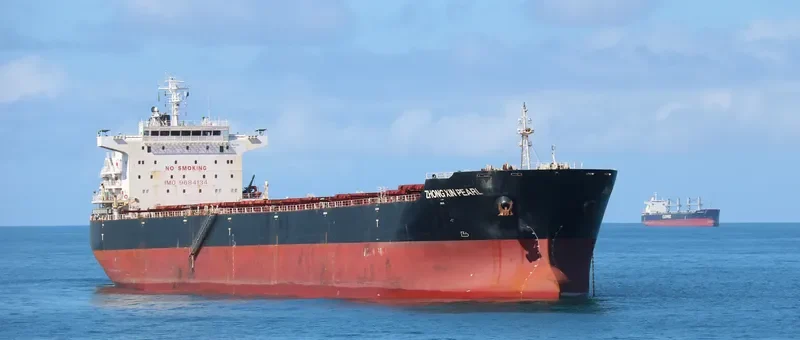 ZHONG XIN PEARL Bulk Carrier IMO 9684134 photo 7