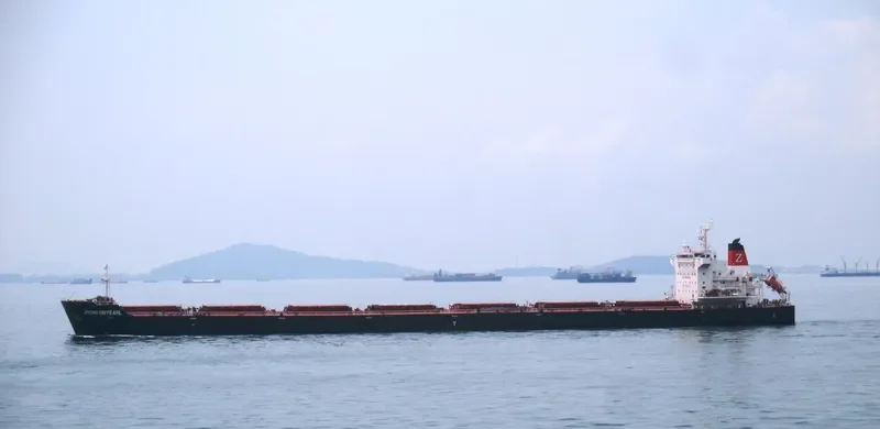 ZHONG XIN PEARL Bulk Carrier IMO 9684134 photo 8