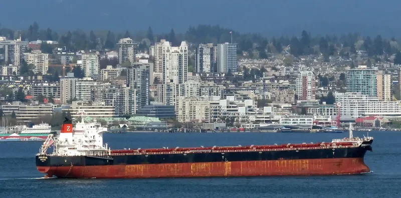 ZHONG XIN PEARL Bulk Carrier IMO 9684134 photo 10