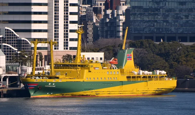 TACHIBANA MARU Passenger Ship IMO 9684158 photo 5