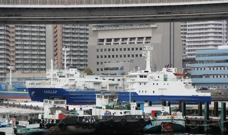 AOGASHIMA MARU Passenger Ship IMO 9684160 photo 7